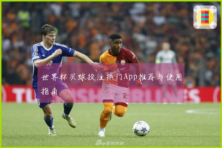 世界杯买球投注热门App推荐与使用指南