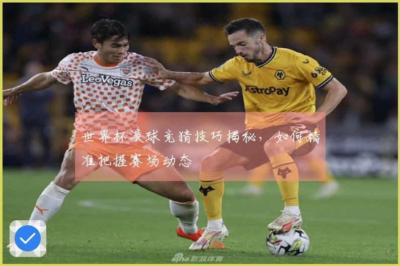 世界杯滚球竞猜技巧揭秘，如何精准把握赛场动态
