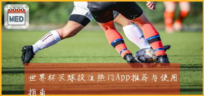 世界杯买球投注热门App推荐与使用指南
