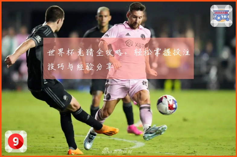 世界杯竞猜全攻略，轻松掌握投注技巧与经验分享