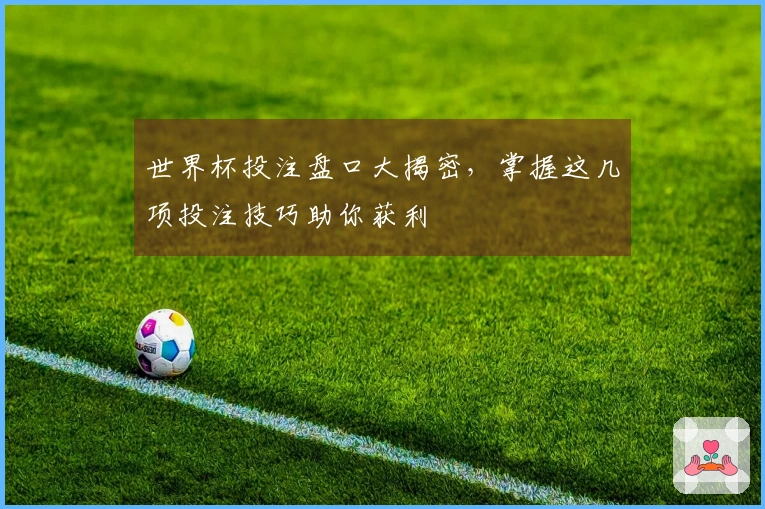 世界杯投注盘口大揭密，掌握这几项投注技巧助你获利