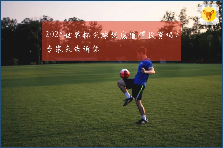2026世界杯买球到底值得投资吗？专家来告诉你