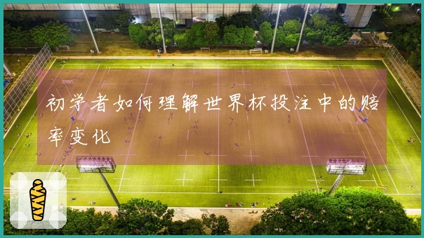 初学者如何理解世界杯投注中的赔率变化