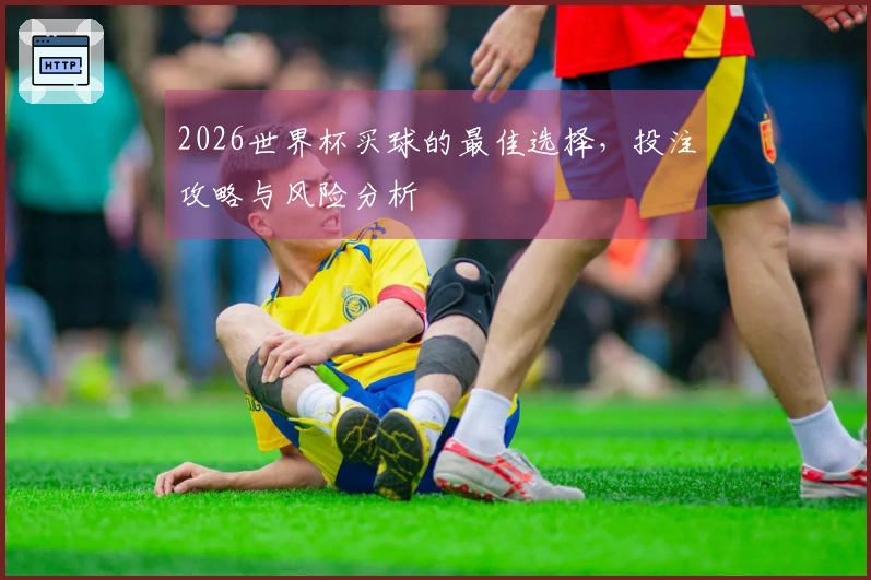 2026世界杯买球的最佳选择，投注攻略与风险分析