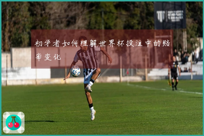 初学者如何理解世界杯投注中的赔率变化