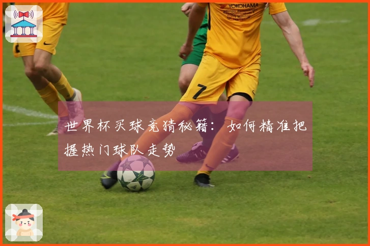 世界杯买球竞猜秘籍：如何精准把握热门球队走势