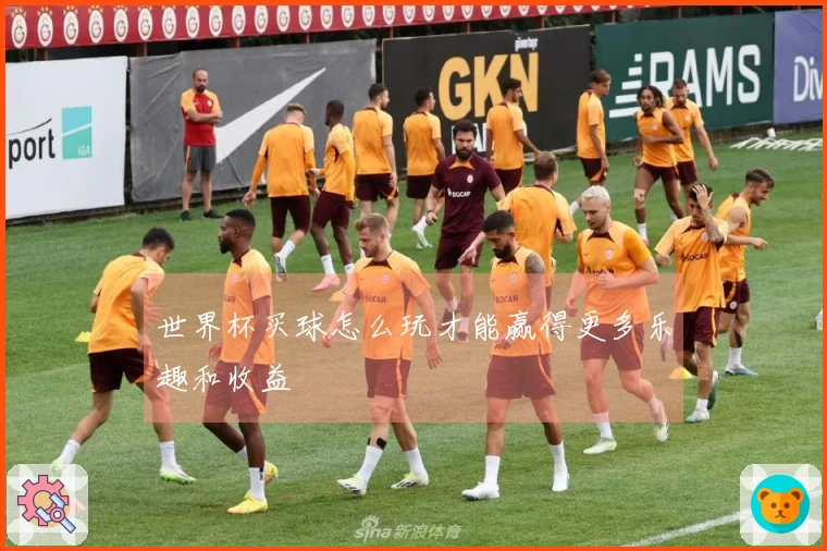 世界杯买球怎么玩才能赢得更多乐趣和收益
