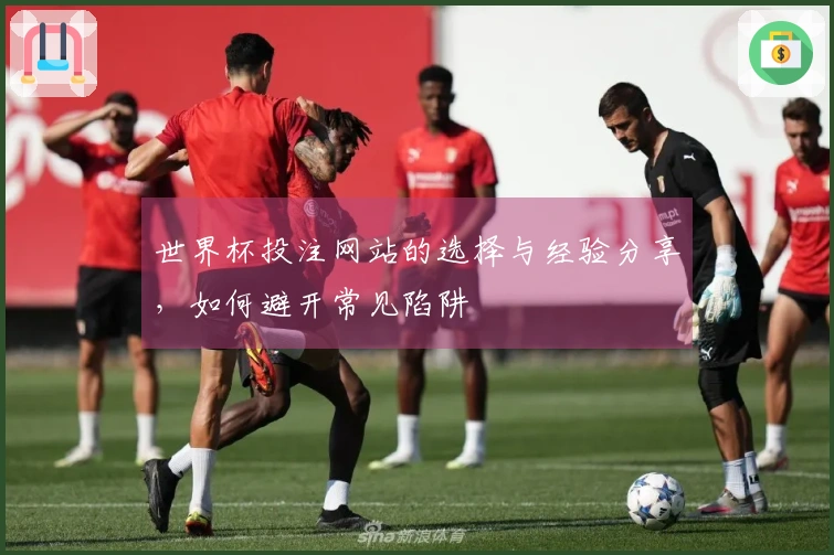 世界杯投注网站的选择与经验分享,如何避开常见陷阱