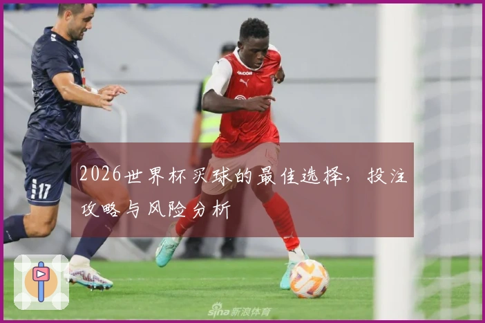 2026世界杯买球的最佳选择，投注攻略与风险分析