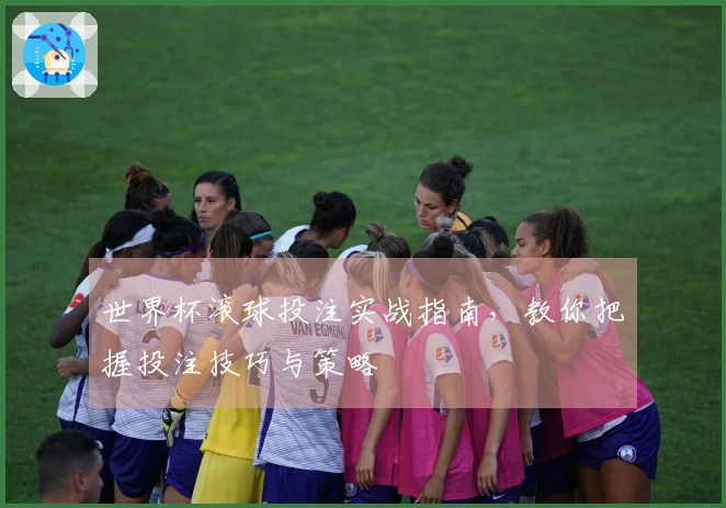世界杯滚球投注实战指南，教你把握投注技巧与策略