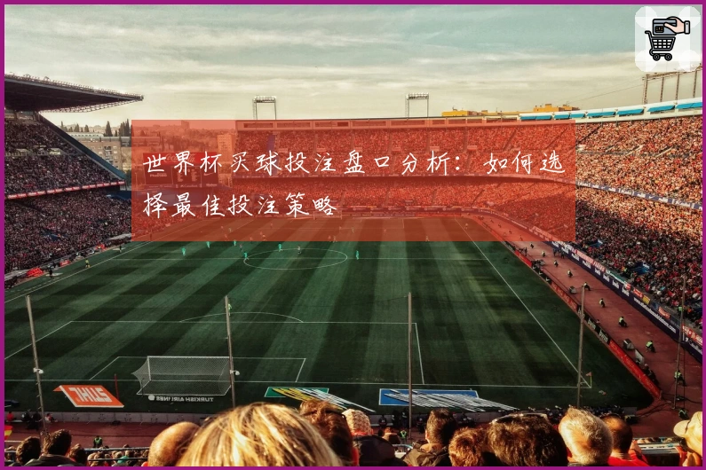 世界杯买球投注盘口分析：如何选择最佳投注策略