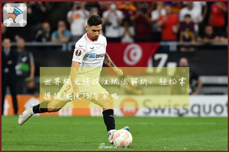 世界杯竞猜投注玩法解析，轻松掌握投注技巧与策略
