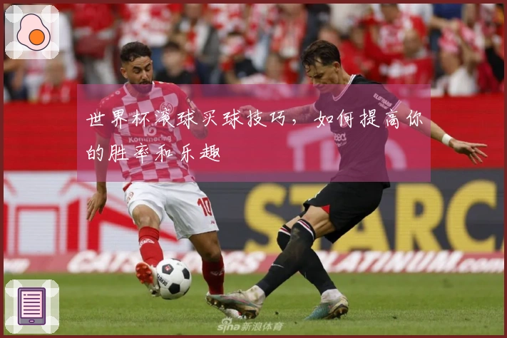 世界杯滚球买球技巧，如何提高你的胜率和乐趣